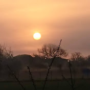 Profile Picture of Jose Gimeno (@josegimeno607) on Youtube