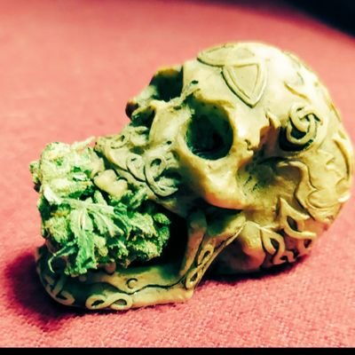 Profile Picture of Vladov  ⚒️ (@Monsieur_Valium) on Twitter