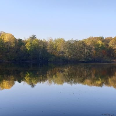 Profile Picture of Alex (@Alex_Ellinger) on Twitter