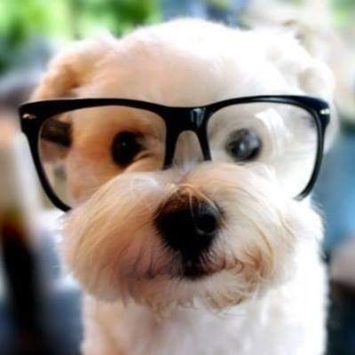 Profile Picture of Gabriel Gerardo Calsina (@GCaldina) on Twitter