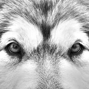 Profile Picture of Michael Hurd (@michaelhurd1106) on Youtube