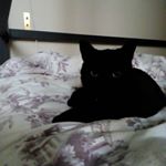 Profile Picture of Jean Tillmann (@jtleboss) on Instagram