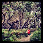 Profile Picture of Matthew Sorge (@msorge) on Instagram
