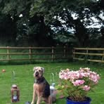 Brian Holness - Facebook Profile Picture of Brian Holness (@brian.holness.906) on Facebook