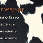 Profile Picture of Mark Kennedy (@vacacampestre) on Instagram