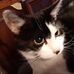 Profile Picture of Dawn Michalski (Sprague Kennedy Michalski) (@dawn.michalski.35) on Facebook