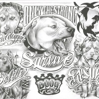 Profile Picture of Tyler Kidd (@tylerkidd10) on Twitter