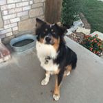 Profile Picture of John Lundak (@john_lundak) on Instagram