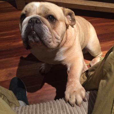 Profile Picture of Brennan Walsh (@bren_walshy) on Twitter