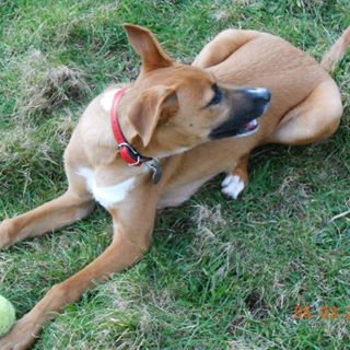 Profile Picture of Colin Dore (@Colin-Dore) on Facebook