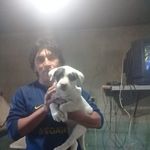 Profile Picture of Joaquin Echauri (@joaquin.echauri.9) on Instagram