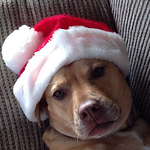 Profile Picture of Nancy Walker (@nmwalker729) on Flickr