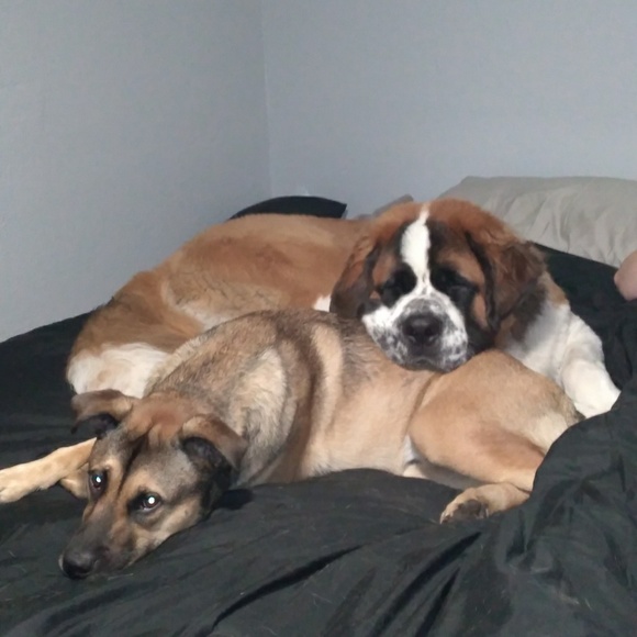 Profile Picture of Misty Ditoro (@mistyditoro) on Poshmark