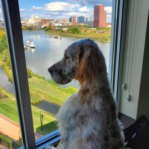 Profile Picture of Al Parker (@arporscha) on Poshmark