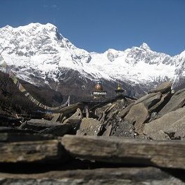 Profile Picture of Gopal Thapa (@gopal39) on Myspace