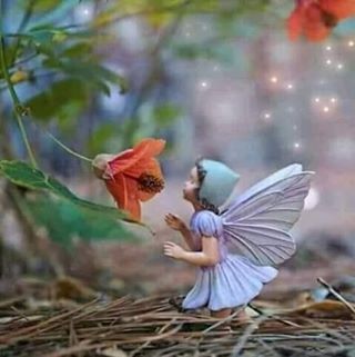 Profile Picture of পথ হারা পাখি (@&) on Facebook