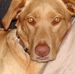 Profile Picture of Jeff Harkness (@jeff.harkness.583) on Facebook