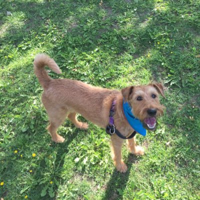 Profile Picture of Ruth Steele (@RuthSte54602265) on Twitter