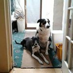 Profile Picture of Gerald Hughes (@hughes.gerald) on Instagram