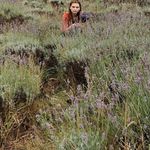 Profile Picture of Alice Weston (@alicelizaw) on Instagram