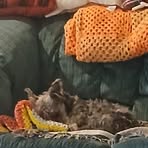 Profile Picture of Colette Richards (@Colette-Richards) on Facebook