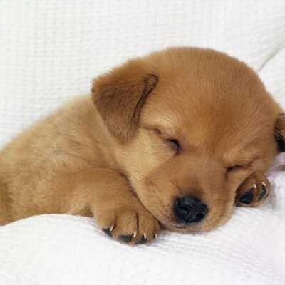 Profile Picture of WilliamChai (@WilliamChai2) on Twitter