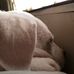 Profile Picture of Brian Farmer (@brian.farmer.18400) on Facebook
