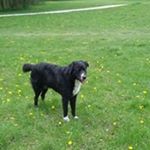 Profile Picture of Doris Zimmermann (@doris_zimmermann) on Instagram