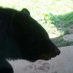 Profile Picture of Matthew (@mblazon06) on Instagram