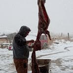 Profile Picture of Jude Holtsoi (@Jude-Holtsoi) on Facebook