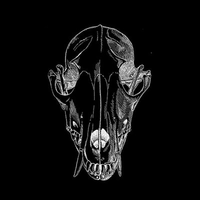 Eileen McCall - Twitter Profile Picture of Eileen McCall (@EileenGMcCall) on Twitter