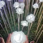 Jason Delbo - Facebook Profile Picture of Jason Delbo (@jason.reaga.5) on Facebook