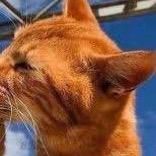 Profile Picture of Brian Morales (@briantrax_04) on Tiktok