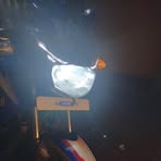 Profile Picture of Ricardo Tol (@ricardo.tol.695045) on Facebook