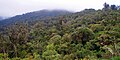Profile Picture of Amboró National Parkon Wikipedia