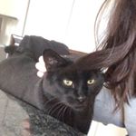 Profile Picture of Andrea (@andreapullenza) on Instagram