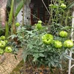 Profile Picture of Geetha D Philip (@geetha.donyphilip) on Facebook