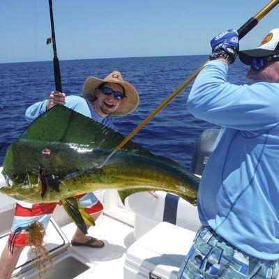 Profile Picture of Aaron Hoffer (@AaronHoffer) on Twitter