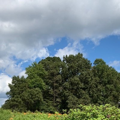 Profile Picture of Joseph Bolick (@JosephJosleobol) on Twitter