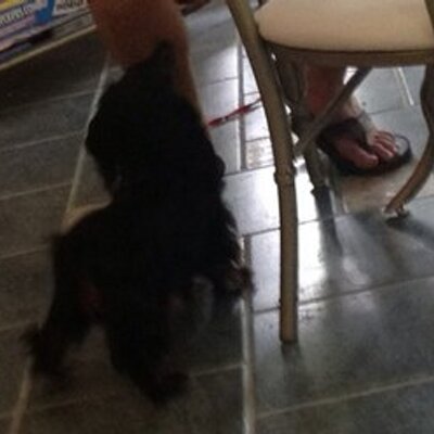 Profile Picture of John Maples (@musicman_sdhs) on Twitter