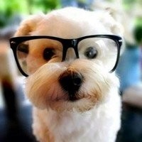 Profile Picture of Gavin Graves  (@gavin-graves-28) on Quora