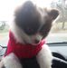 Profile Picture of Wilma Hayes (@wilma.hayes.904) on Facebook