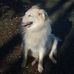 Profile Picture of Buddy Mathis (@buddy.mathis.9) on Facebook