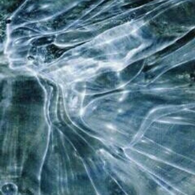 Profile Picture of Aaron Tobaruela Rosa (@aarontoba) on Twitter