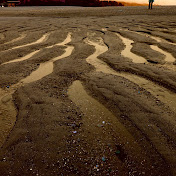 Profile Picture of David Dreyer (@daviddreyer4616) on Youtube