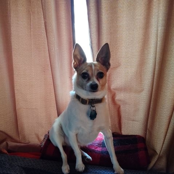 Profile Picture of Kim Feighner (@feighnerkim) on Poshmark