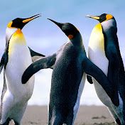 Profile Picture of Terra Matsushima (@terramatsushima848) on Youtube