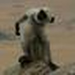 Profile Picture of Richard Gray (@richard gray) on Flickr