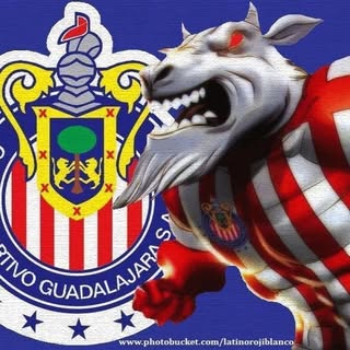 Profile Picture of Joel Zaragoza (@zaragoza_joel) on Instagram