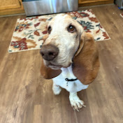 Profile Picture of Blake Stephens (@Scoop218) on Youtube